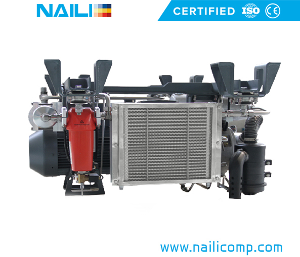 NAILI AGTU Series Rotary vane compressor for Motive transportation